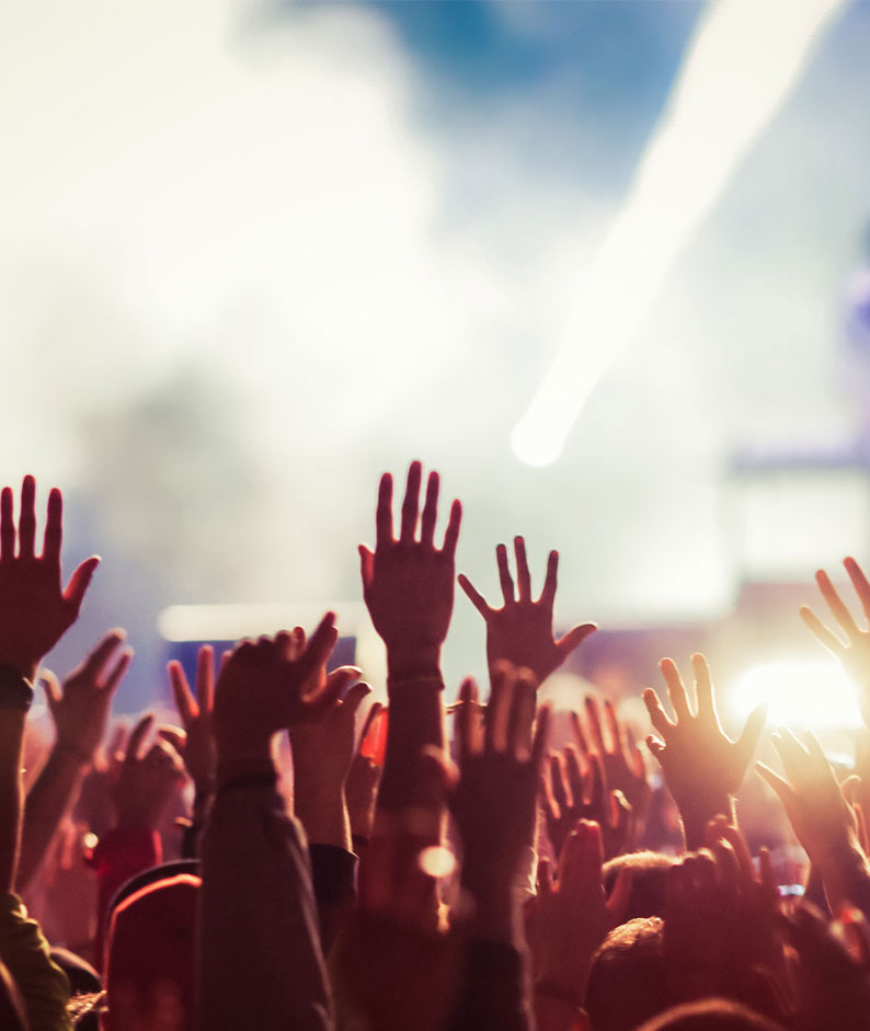 Concert, show, fashion show